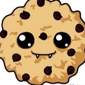 Meet your Posher, Quinn